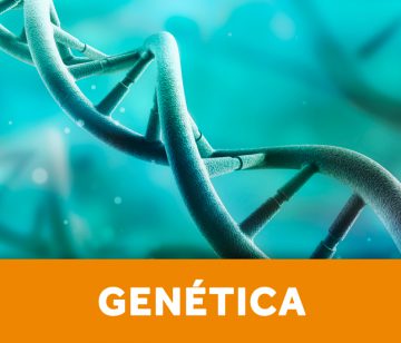 genetica genetica