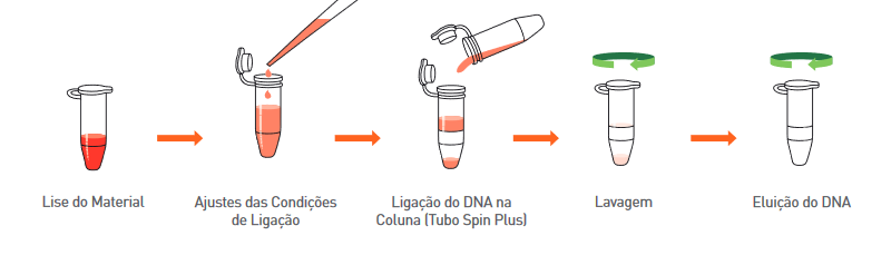 extração de DNA/RNA Manual