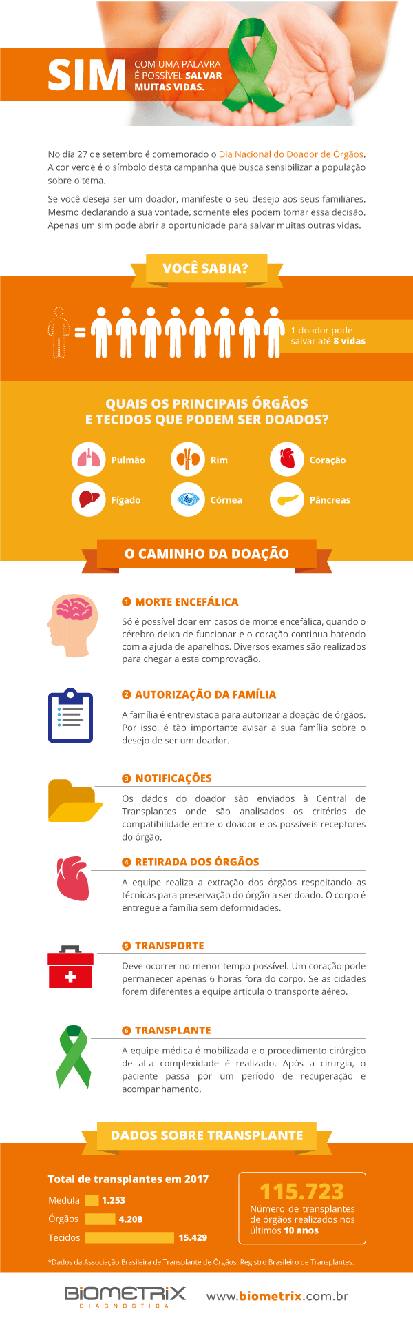 doação de òrgãos