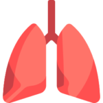 pulmão